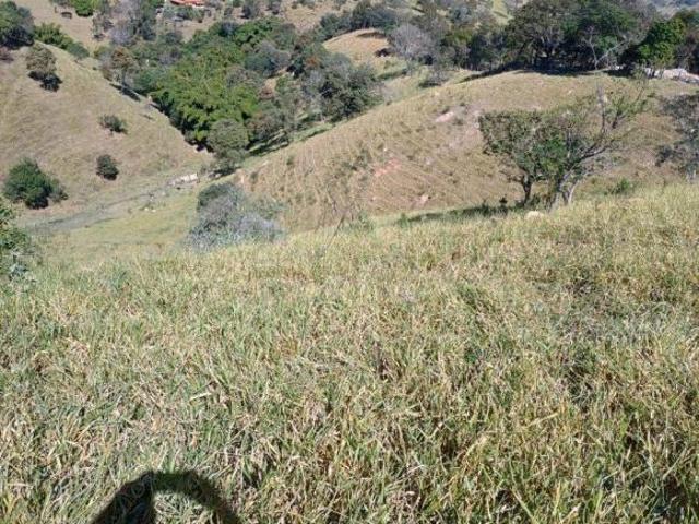 Sítio e chácara venda em Região Geográfica Imediata de Oliveira, Região Metropolitana de Belo Horizonte