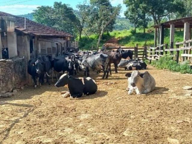 Sítio e chácara venda em Região Geográfica Imediata de Divinópolis, Itapecerica