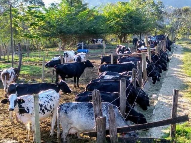 Sítio e chácara venda em Região Geográfica Imediata de Divinópolis, Itapecerica