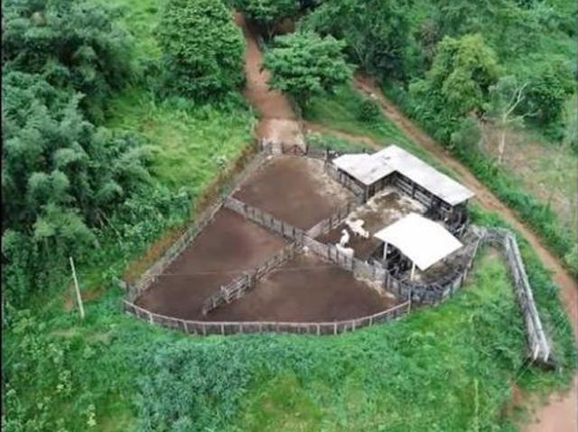 Sítio e chácara venda em Palma, Região Geográfica Intermediária de Juiz de Fora