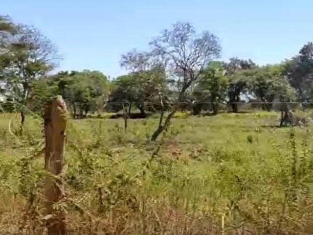 Sítio e chácara venda em Região Geográfica Imediata de Januária, Pedras de Maria da Cruz