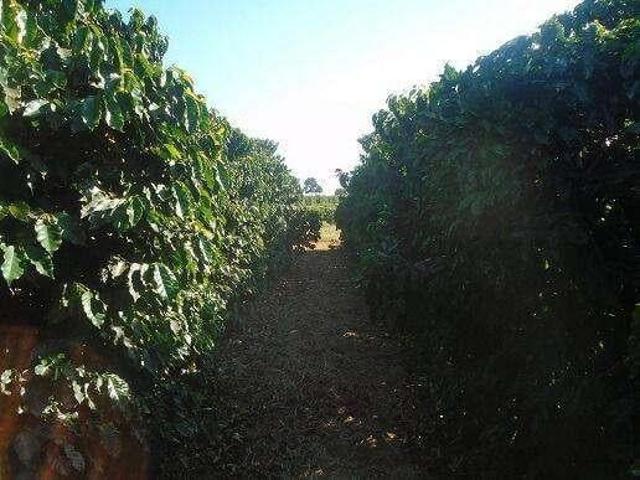 Sítio e chácara venda em Região Geográfica Imediata de Piumhi, Jerumenha