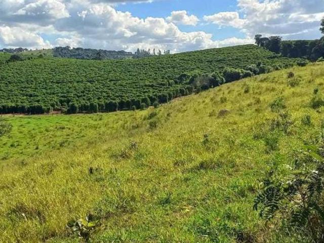 Sítio e chácara venda em Região Geográfica Imediata de Oliveira, São Francisco de Paula
