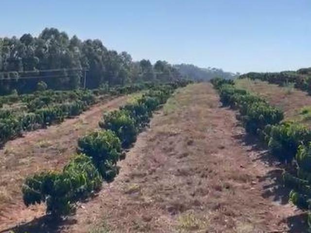 Sítio e chácara venda em São João da Mata, Região Geográfica Intermediária de Pouso Alegre