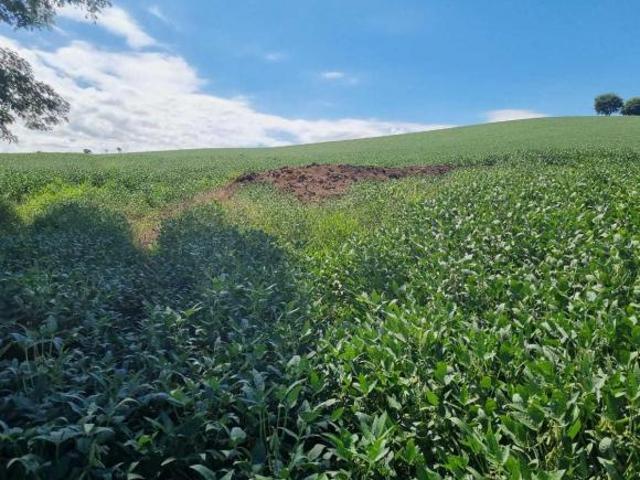 Sítio e chácara venda em Região Geográfica Imediata de Pouso Alegre, São Sebastião da Bela Vista