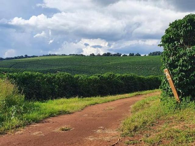 Sítio e chácara venda em Região Geográfica Imediata de Lavras, Santo Antônio do Amparo