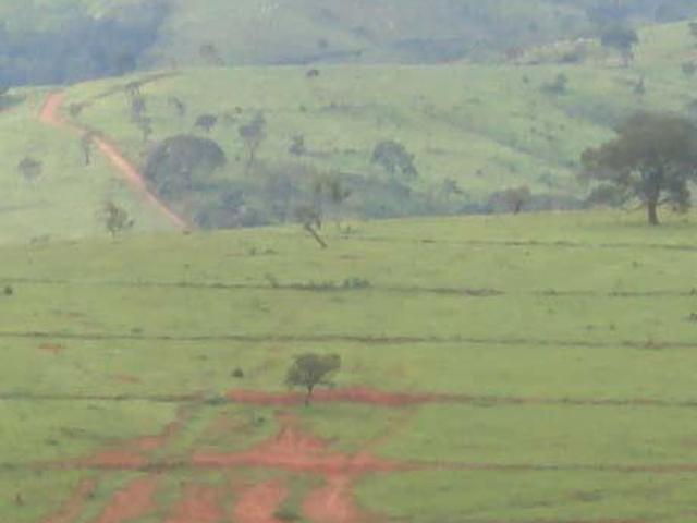 Sítio e chácara venda em Região Geográfica Imediata de Piumhi, Vargem Bonita