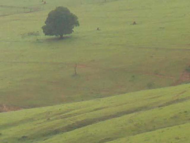Sítio e chácara venda em Região Geográfica Imediata de Piumhi, Vargem Bonita
