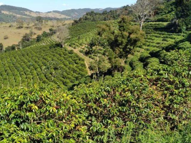 Sítio e chácara venda em Região Geográfica Imediata de Três Corações, Cambuquira
