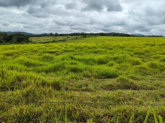 Sítio e chácara venda em Região Geográfica Imediata de Divinópolis, Conceição do Pará