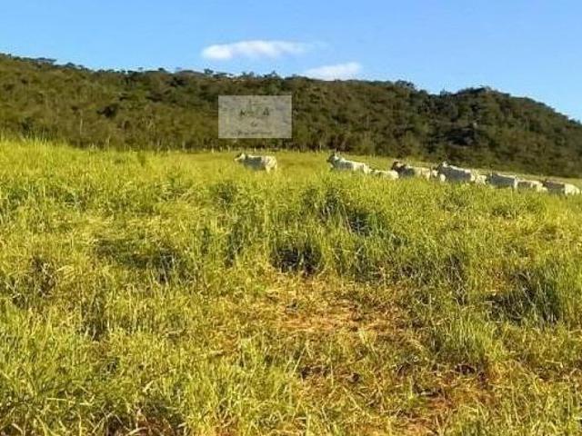 Sítio e chácara venda em Região Geográfica Imediata de Oliveira, Oliveira