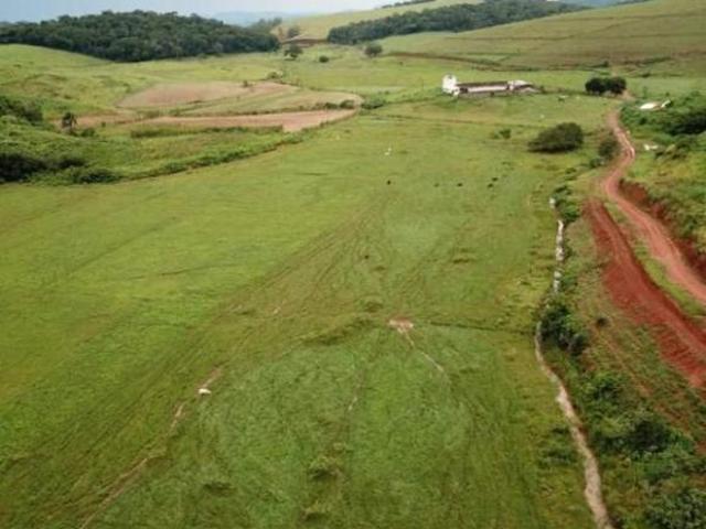 Sítio e chácara venda em Região Geográfica Imediata de Cataguases, Palma