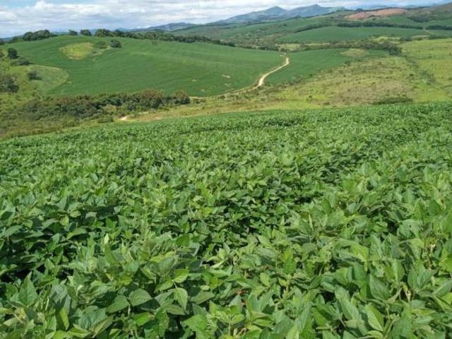 Sítio e chácara venda em Região Geográfica Imediata de São Lourenço, Carmo de Minas