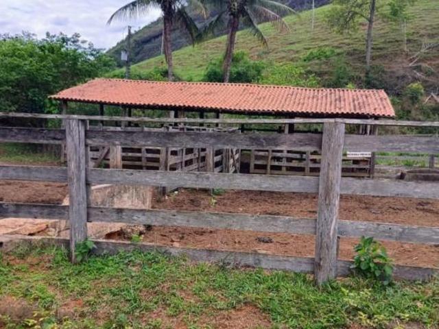 Sítio e chácara venda em Cuité, Região Nordeste