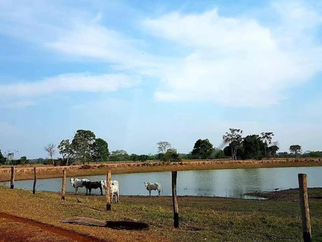 Sítio e chácara venda em Região Geográfica Imediata de Cáceres, Antônio João