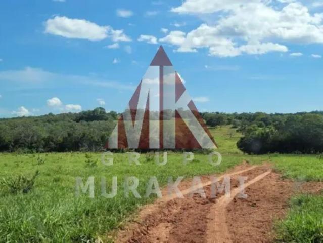Fazenda venda em Região Geográfica Imediata de Rondonópolis, Itiquira