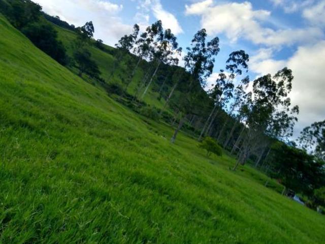 Sítio e chácara venda em Região Imediata de Piracicaba, Região Metropolitana de Piracicaba