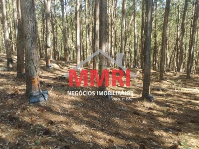 Sítio e chácara venda em Região Imediata de Itapeva, Itapirapuã Paulista