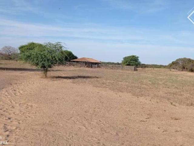 Sítio e chácara venda em Região Geográfica Imediata de Janaúba, Manga