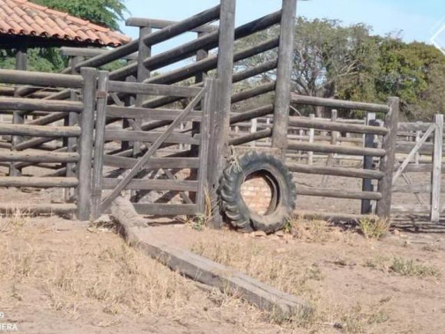 Sítio e chácara venda em Região Geográfica Imediata de Janaúba, Manga