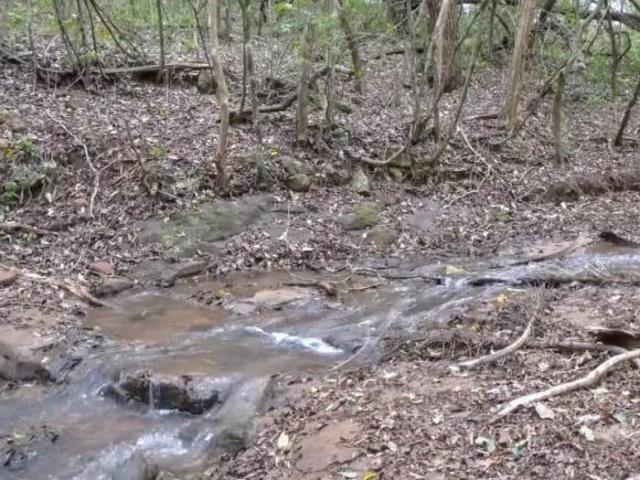 Sítio e chácara venda em Avaré