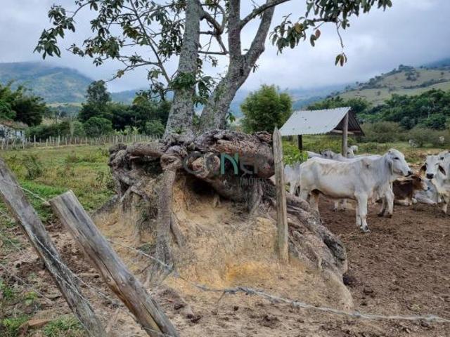 Sítio e chácara venda em Região Geográfica Imediata de Ubá, Ubá