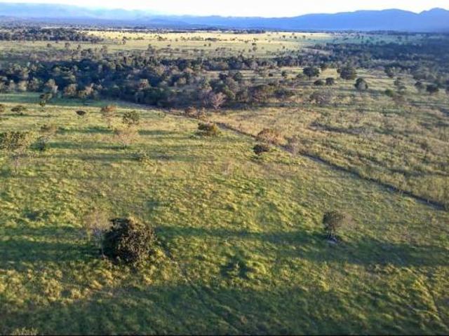 Sítio e chácara venda em Região Geográfica Imediata de Flores de Goiás, Cavalcante