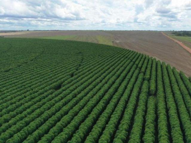 Sítio e chácara venda em SQS 104, Plano Piloto