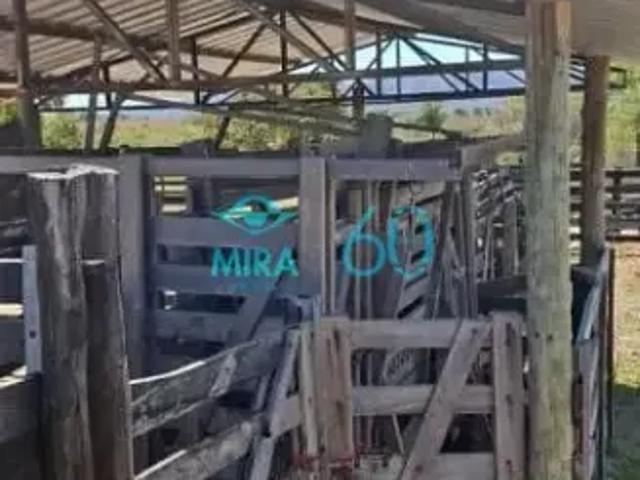 Fazenda venda em Região Geográfica Imediata de Posse-Campos Belos, Monte Alegre de Goiás