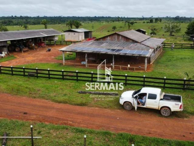 Fazenda venda em Região Geográfica Imediata de Porto Velho, Porto Velho