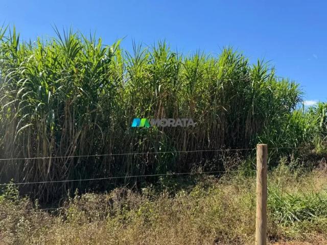 Fazenda venda em Região Geográfica Imediata de Curvelo, Curvelo