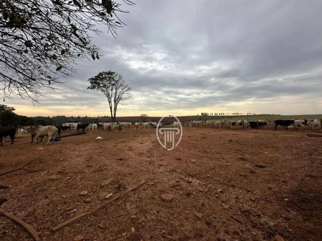 Fazenda venda em Região Geográfica Imediata de Umuarama, Região Metropolitana de Umuarama