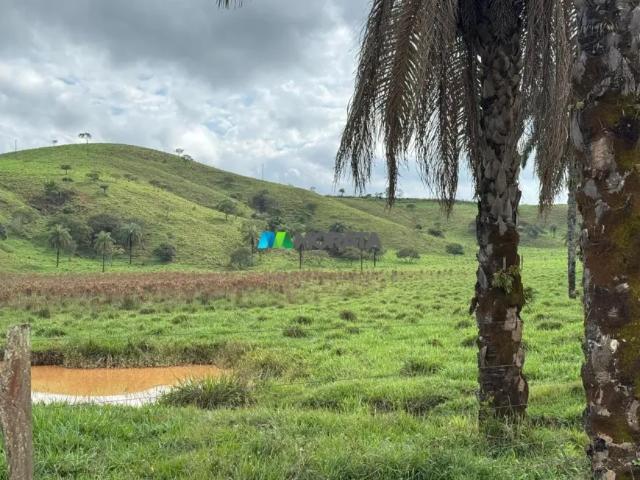 Fazenda venda em Região Geográfica Imediata de Formiga, Tapiraí