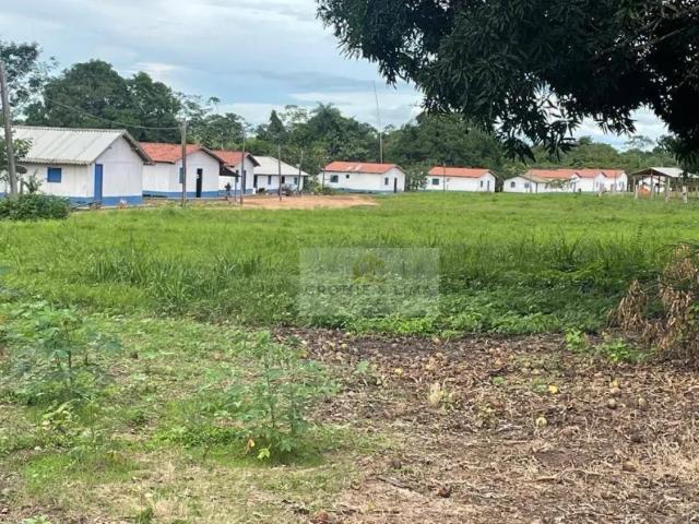 Fazenda venda em Região Geográfica Imediata de Araguaína, Araguaína