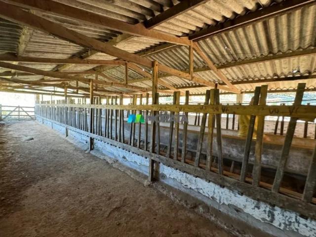 Fazenda venda em Região Geográfica Imediata de Barbacena, Alto Rio doce