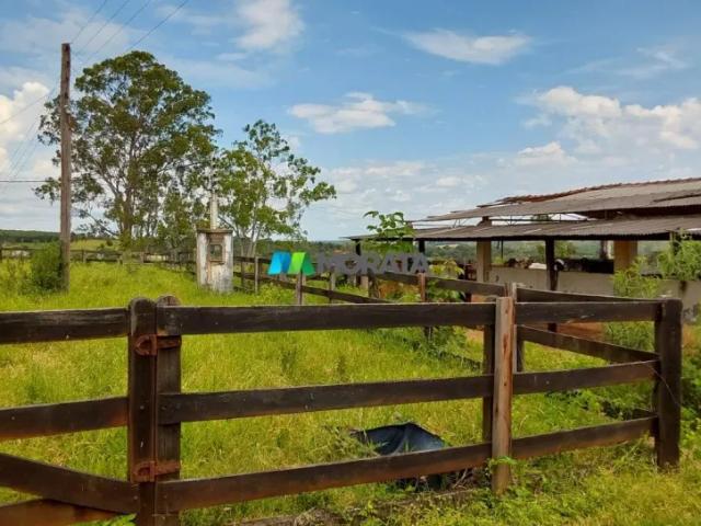 Fazenda venda em Região Geográfica Imediata de Sete Lagoas, Caetanópolis