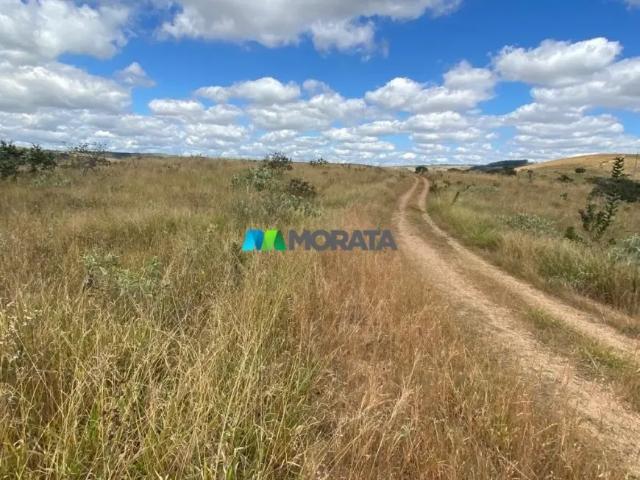Fazenda venda em Região Geográfica Imediata de Formiga, Tapiraí
