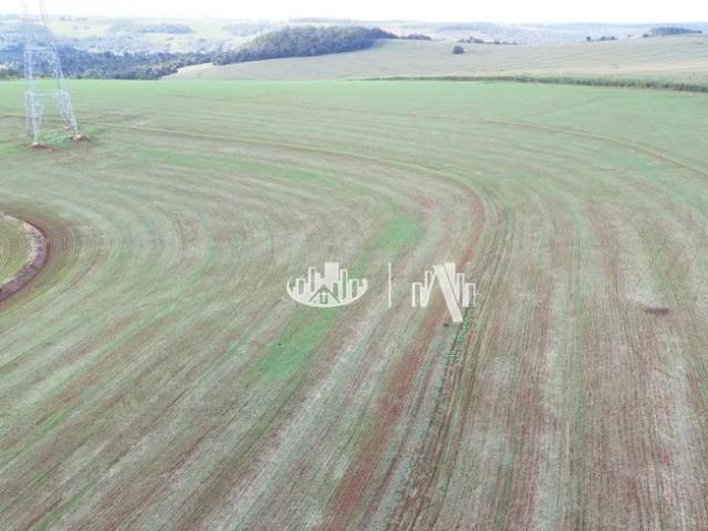 Fazenda venda em Região Geográfica Imediata de Londrina, Londrina