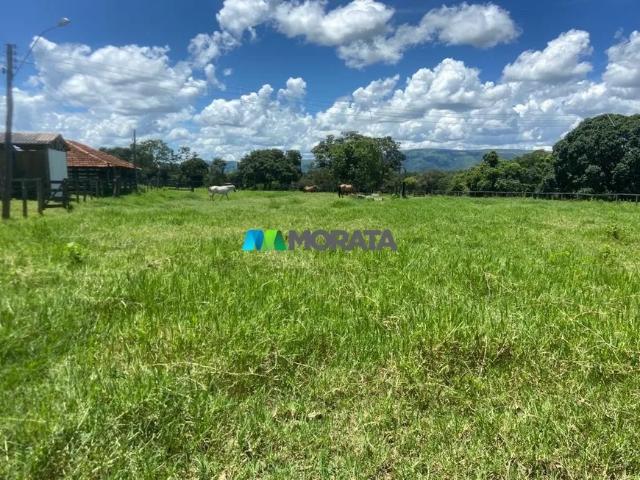 Fazenda venda em Região Geográfica Imediata de Unaí, Região Integrada de Desenvolvimento do Distrito Federal e Entorno