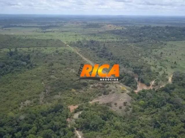 Fazenda venda em Região Geográfica Imediata de Porto Velho, Porto Velho
