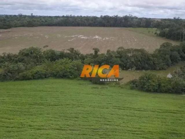 Fazenda venda em Região Geográfica Imediata de Porto Velho, Porto Velho