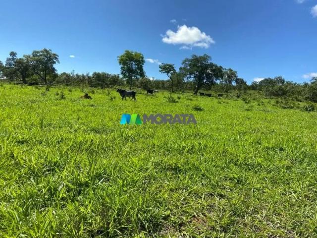 Fazenda venda em Região Geográfica Imediata de Curvelo, Curvelo