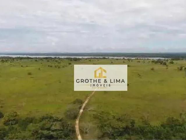 Fazenda venda em Bernardo Sayao, Região Norte