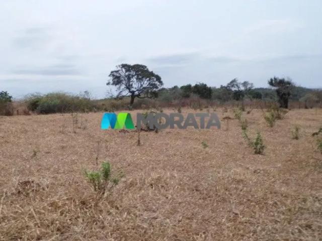 Fazenda venda em Região Geográfica Imediata de Belo Horizonte, Região Metropolitana de Belo Horizonte