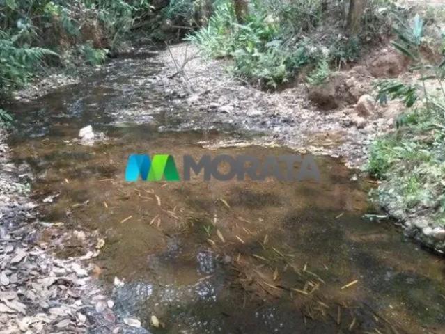 Fazenda venda em Região Geográfica Imediata de Belo Horizonte, Região Metropolitana de Belo Horizonte