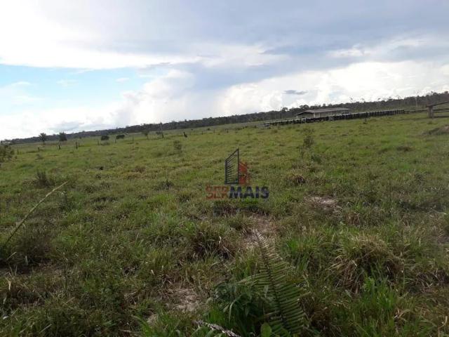 Fazenda venda em Machadinho d'Oeste, Região Norte