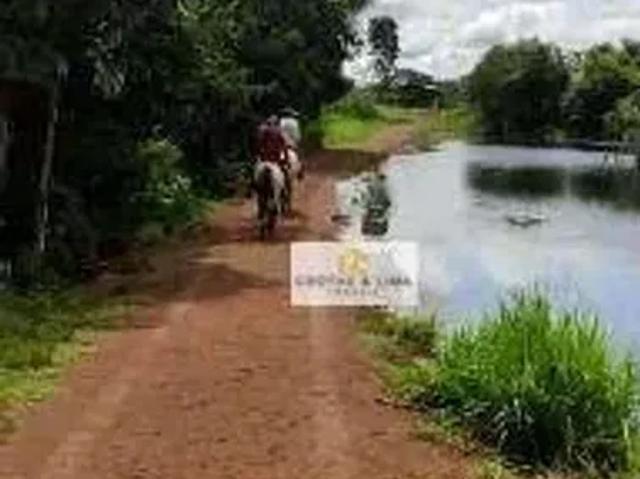 Fazenda venda em Região Geográfica Imediata de Paraíso do Tocantins, Marianópolis do Tocantins