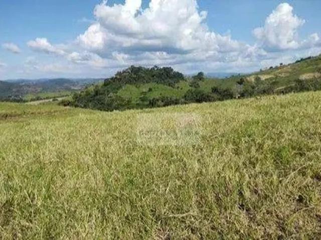 Fazenda venda em Região Imediata de São José do Rio Pardo-Mococa, São José do Rio Pardo