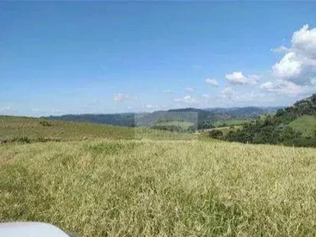 Fazenda venda em Região Imediata de São José do Rio Pardo-Mococa, São José do Rio Pardo