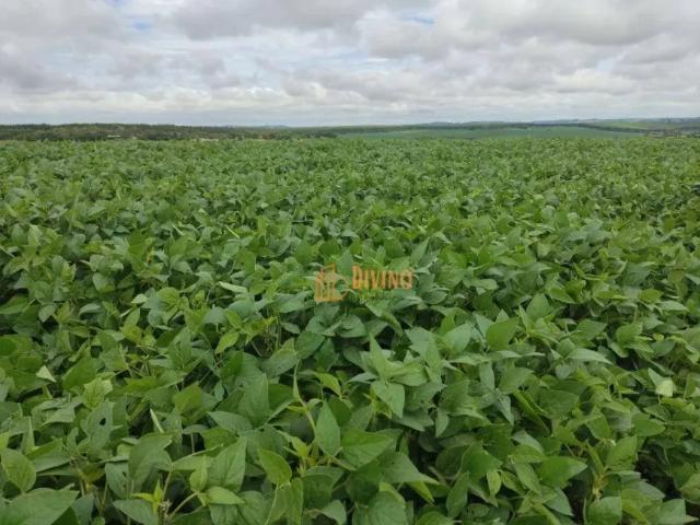 Fazenda venda em Região Imediata de Itapetininga, Região Metropolitana de Sorocaba